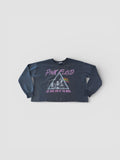LODB PINK FLOYD VINTAGE SWEASHIRT